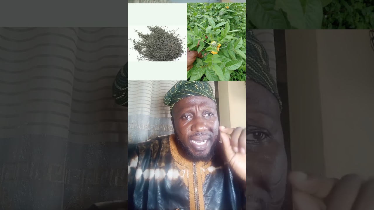 OOGUN APORO OFA ARA OLOJO is a PÍPÉ+2348032983298, +22954651928, +2250584811131