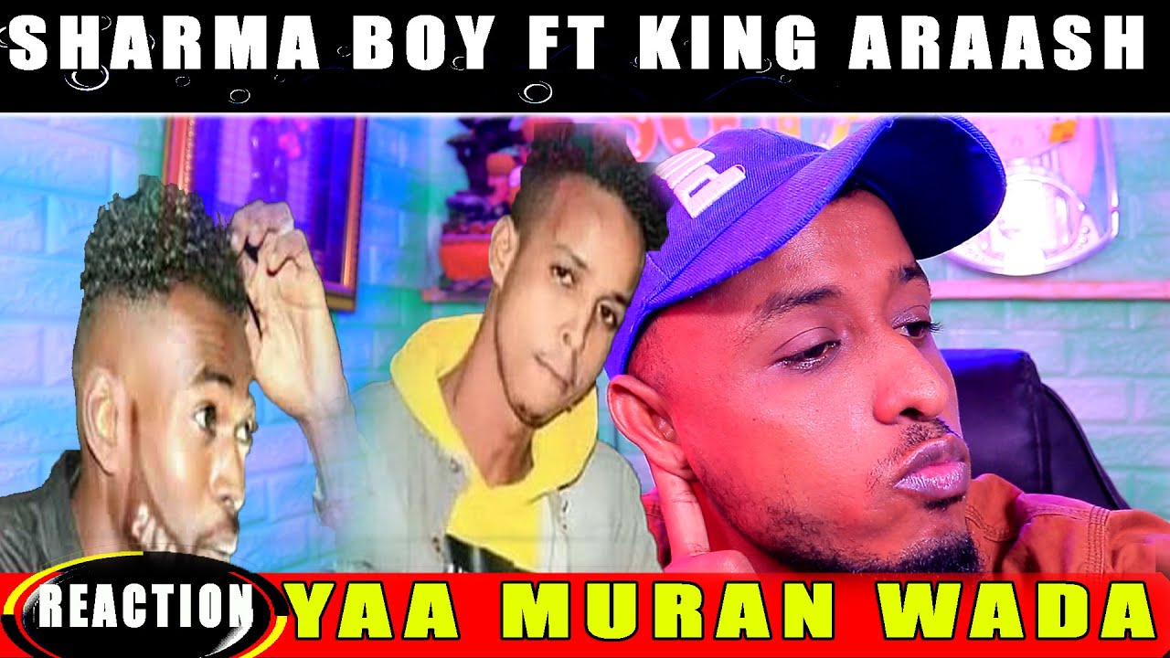 SHARMA BOY FT KING ARAASH HEES CUSUB YAA BUUQ WADA REACTION BY: HASSAN SOYA KKKKKK