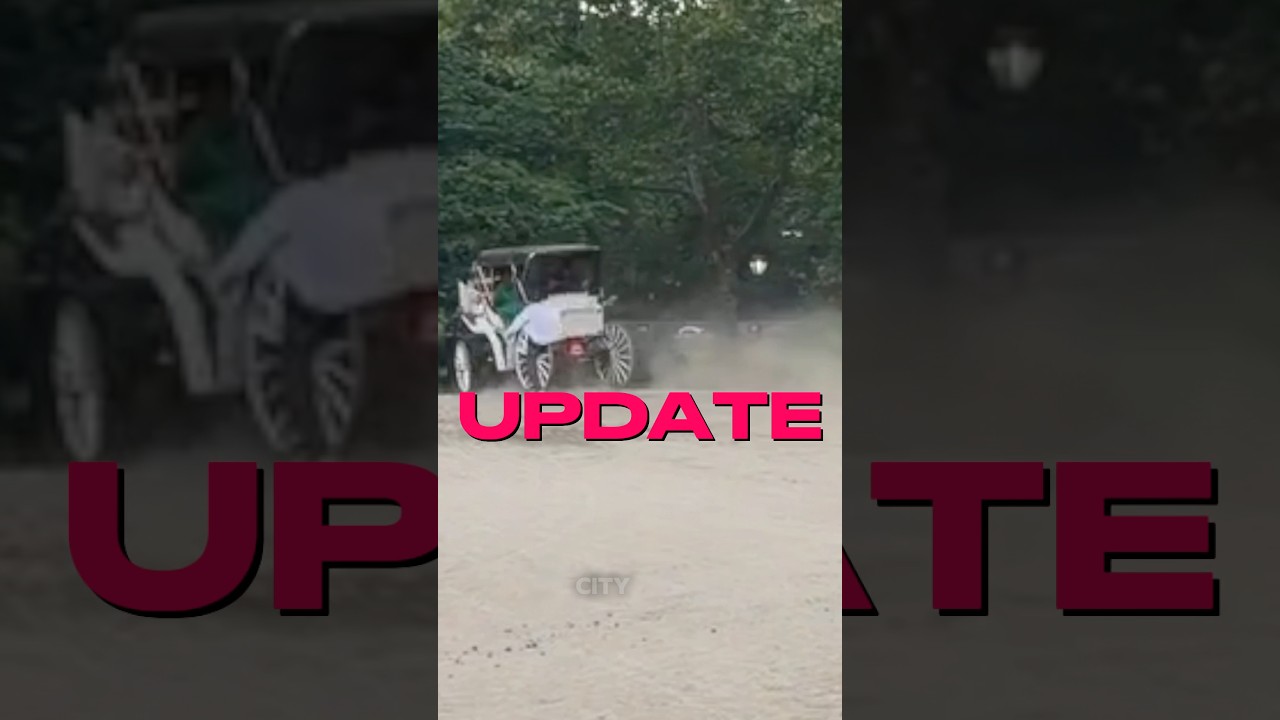 Что на самом деле стало причиной этой смертельной аварии с повозкой?