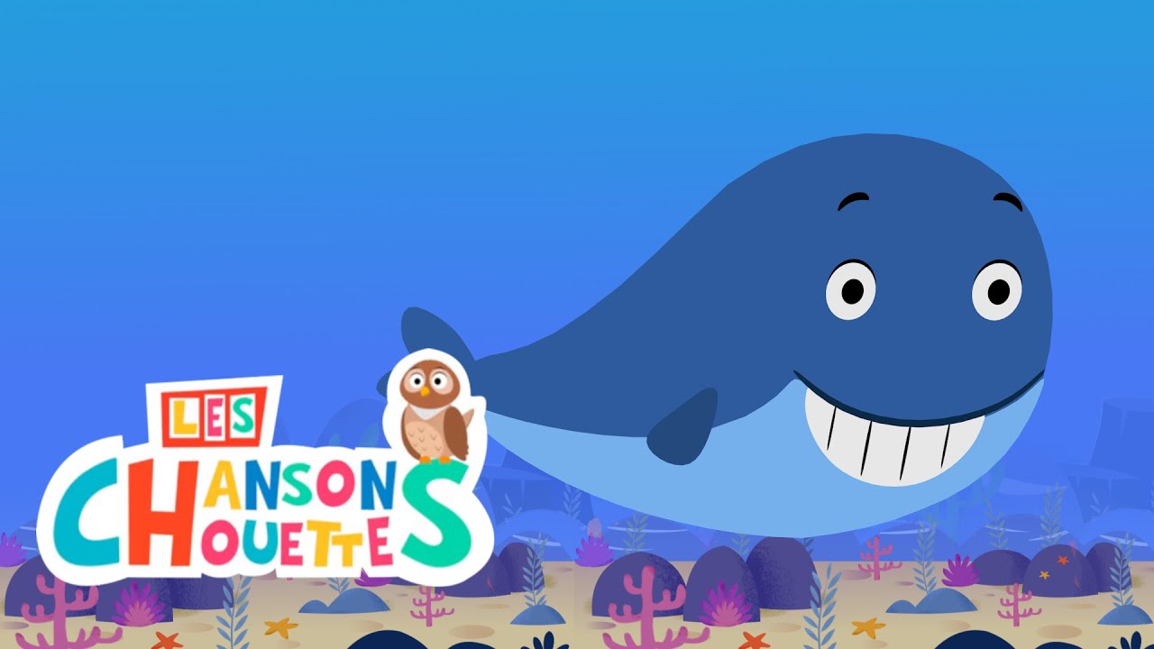 C'est la baleine - Les chansons chouettes