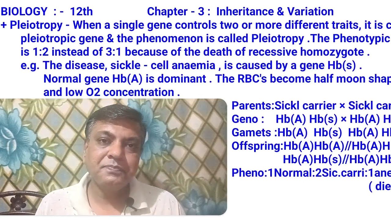 Class 12 ! Bio ! Ch-3(Part-27) ! Inheritance & Variation ! Maharashtra ! Marathi !