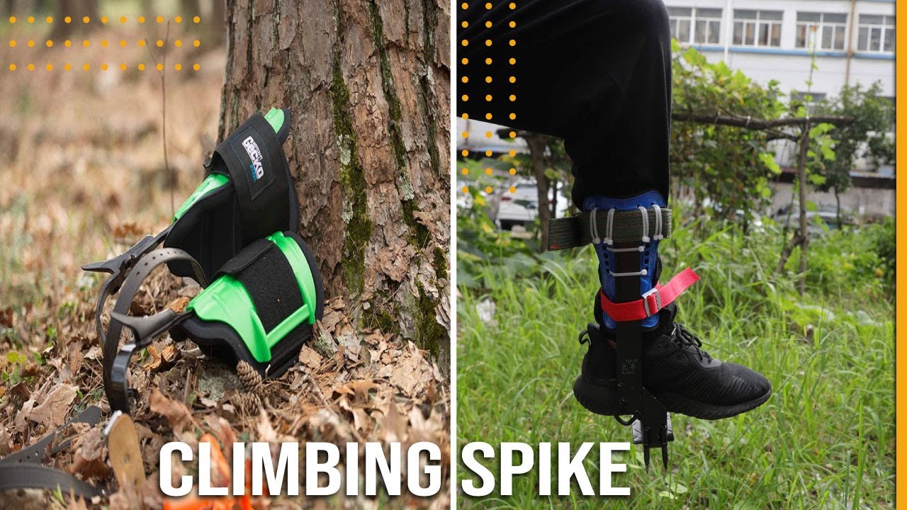 Best Climbing Spike in 2022 &ndash; Top Class Products Reviewed!