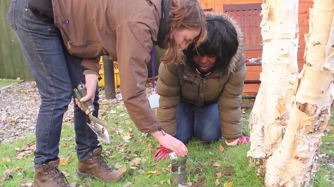 Hana Mews: housing scheme with on-site support for people with long-term mental illness