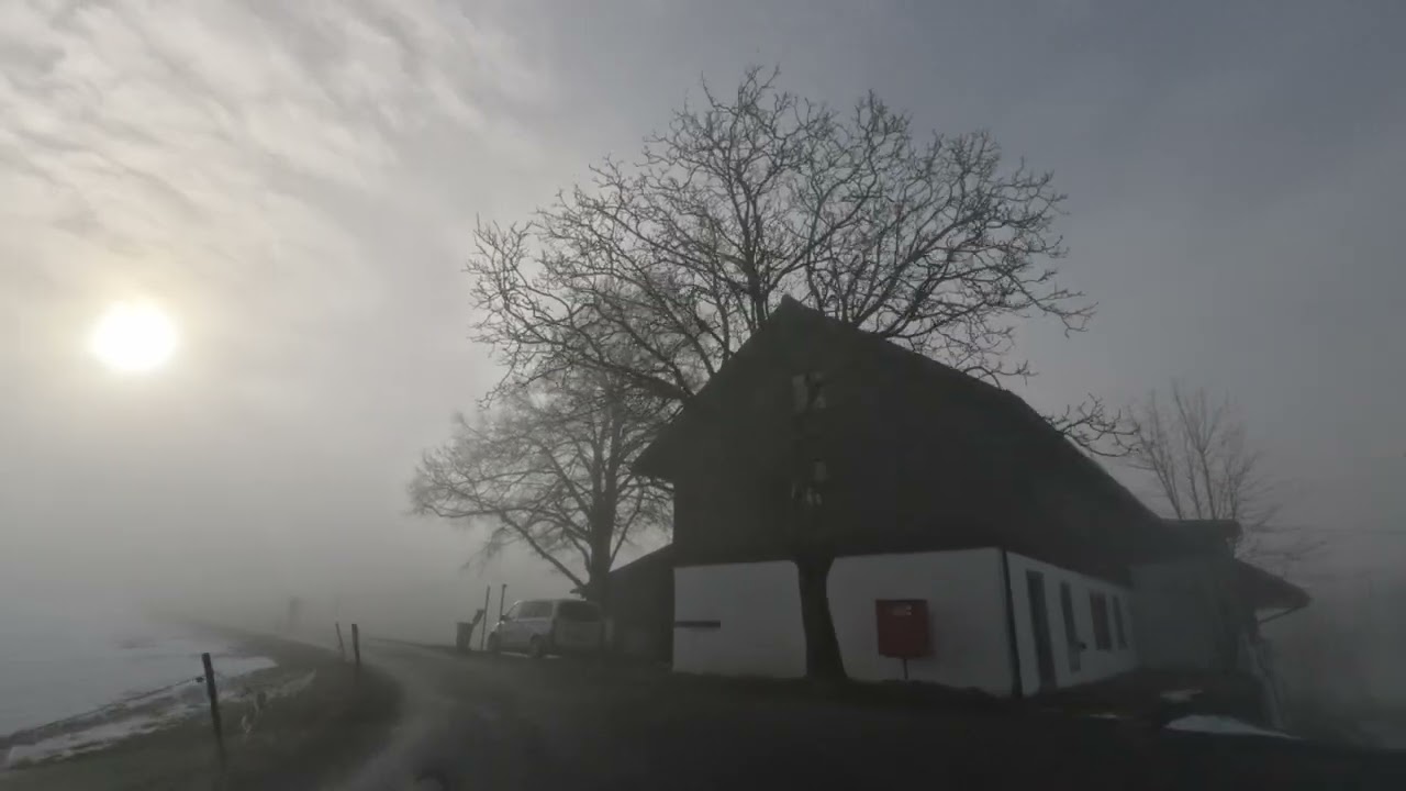 Driving from Allenwinden to Zugerberg through Fog (Zug, Switzerland)