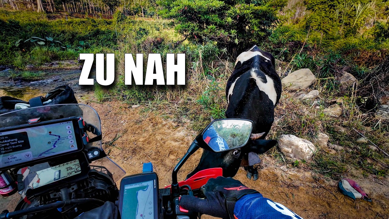 2. Versuch am Fluss in Thailand – und diesmal wurde es ernst.