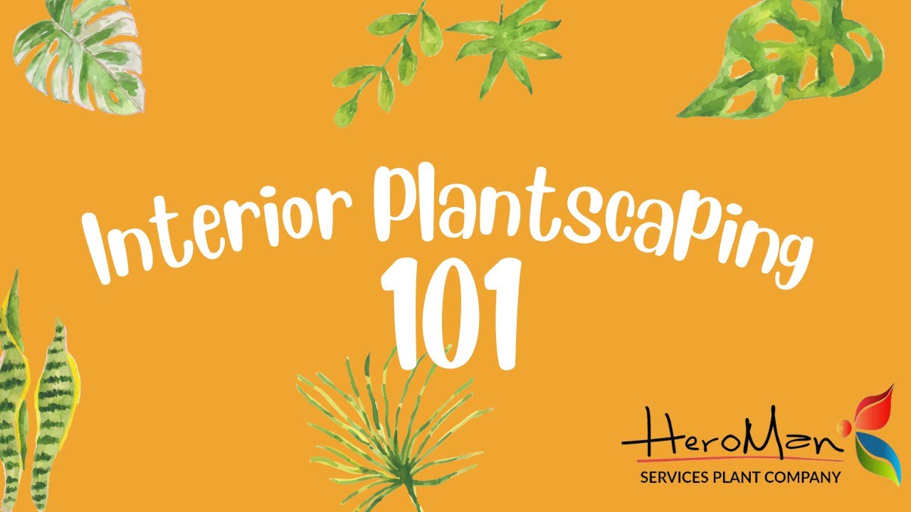 Interior Plantscaping 101