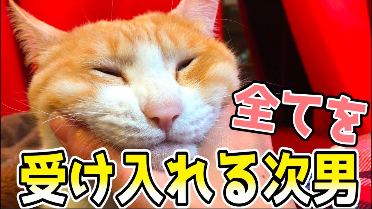 衝動のままにイタズラされるも満更でも無さそうな次男