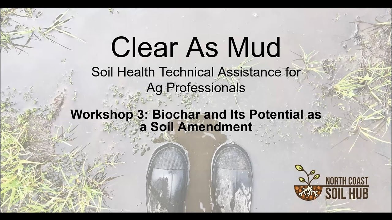 Biochar and Its Potential as a Soil Amendment