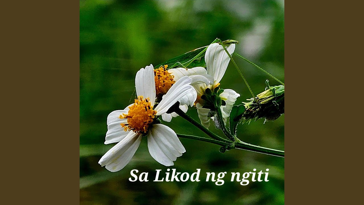 Sa likod ng ngiti