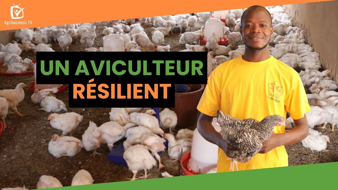 Burkina Faso : Un aviculteur résilient