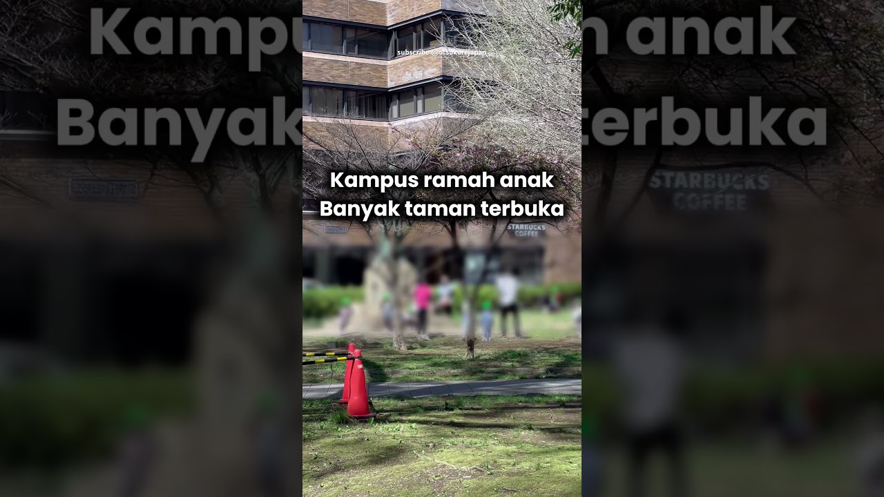 Anak TK berkeliaran di kampus jepang #kuliahdijepang #sekolahdijepang #kerjadijepang