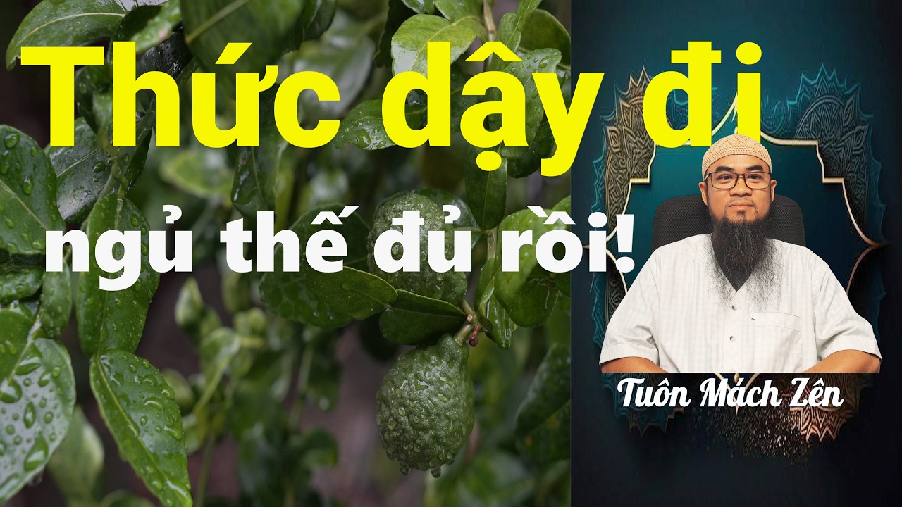 Thức dậy để thành công!