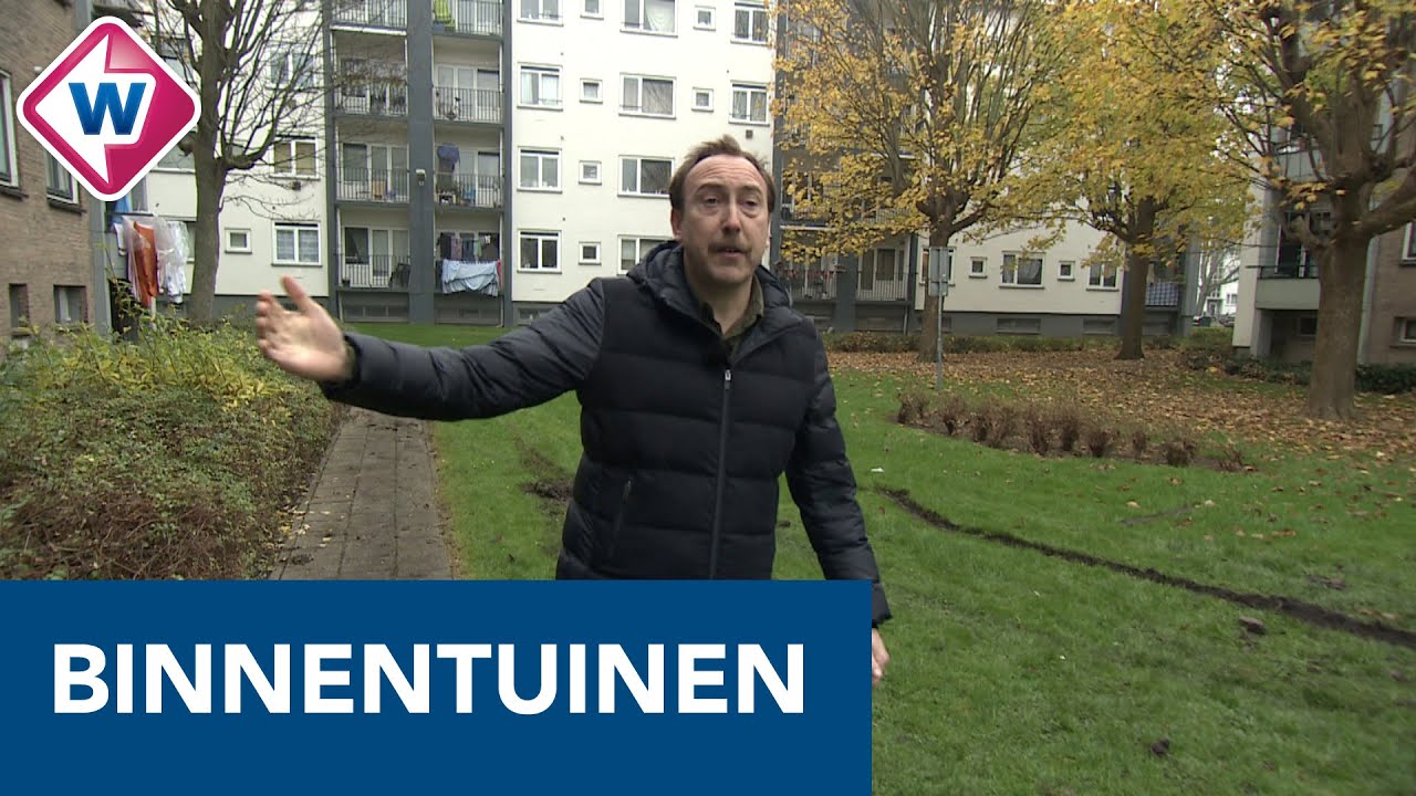 'Opknappen Haagse binnentuinen moet beter' - OMROEP WEST