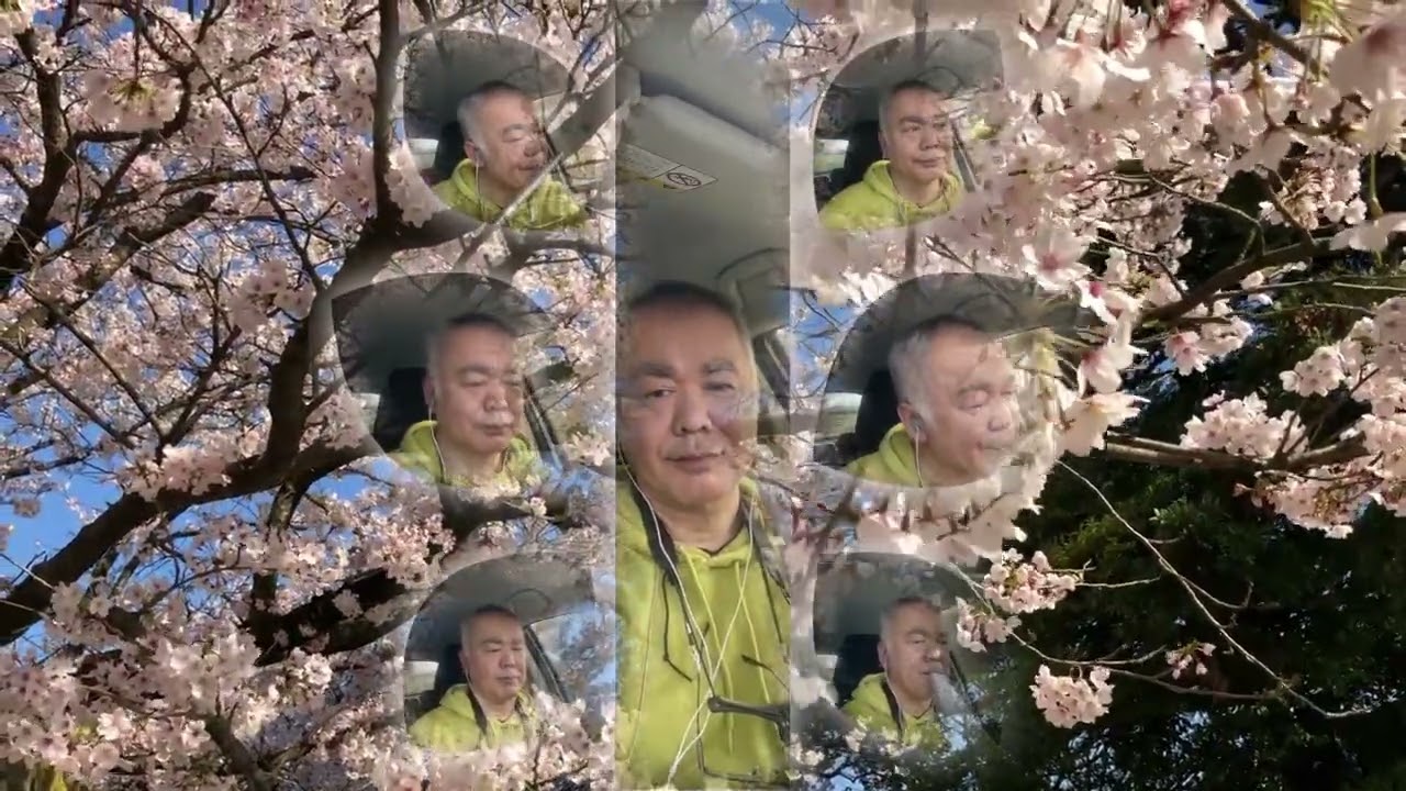 花は咲く