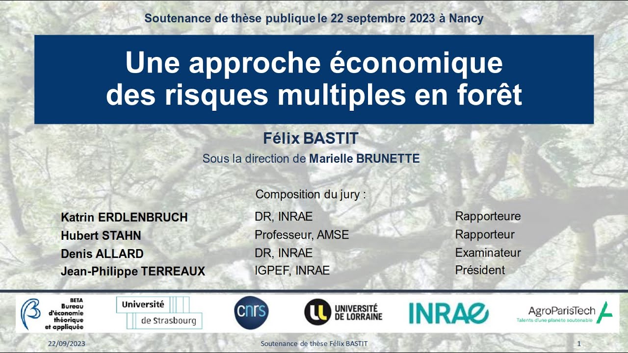 Soutenance de thèse Félix BASTIT: Une approche économique des risques multiples en forêt