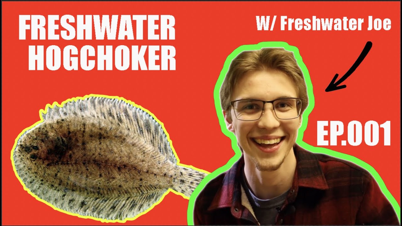 Freshwater flat fish 😱 Hogchoker (Trinectes maculatus) Ep. 001 of Fishy Facts with Freshwater Joe