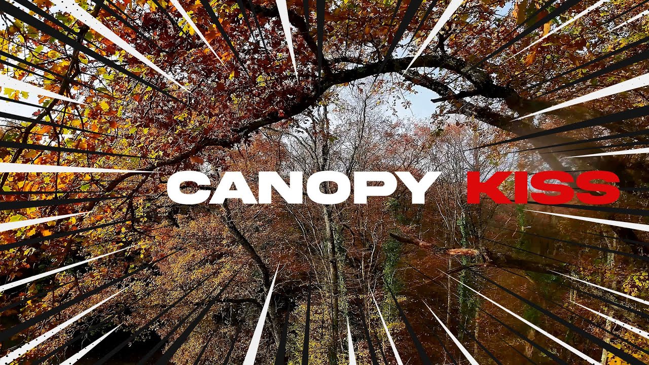Deep in the Jungle vol.14 | FPV Slow & Proximity | Canopy Kiss