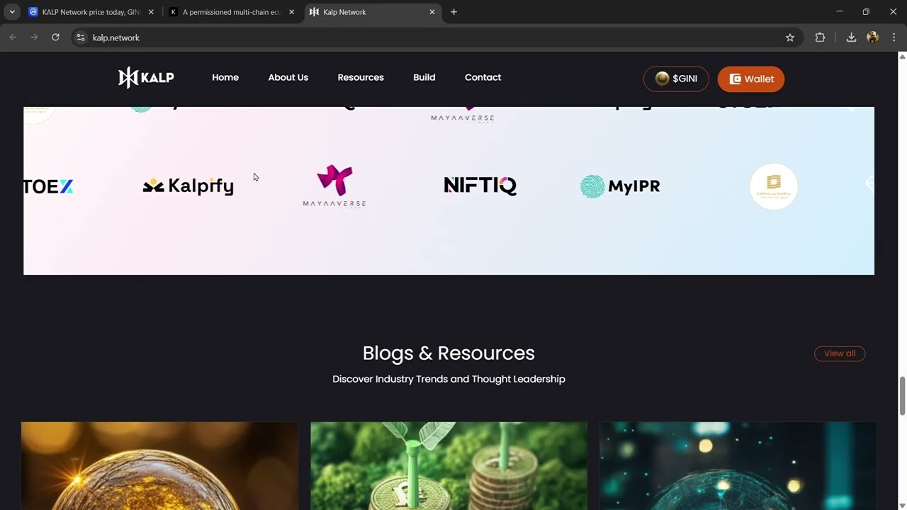 What is KALP Network ($GINI) Token Coin | Review About $GINI Token