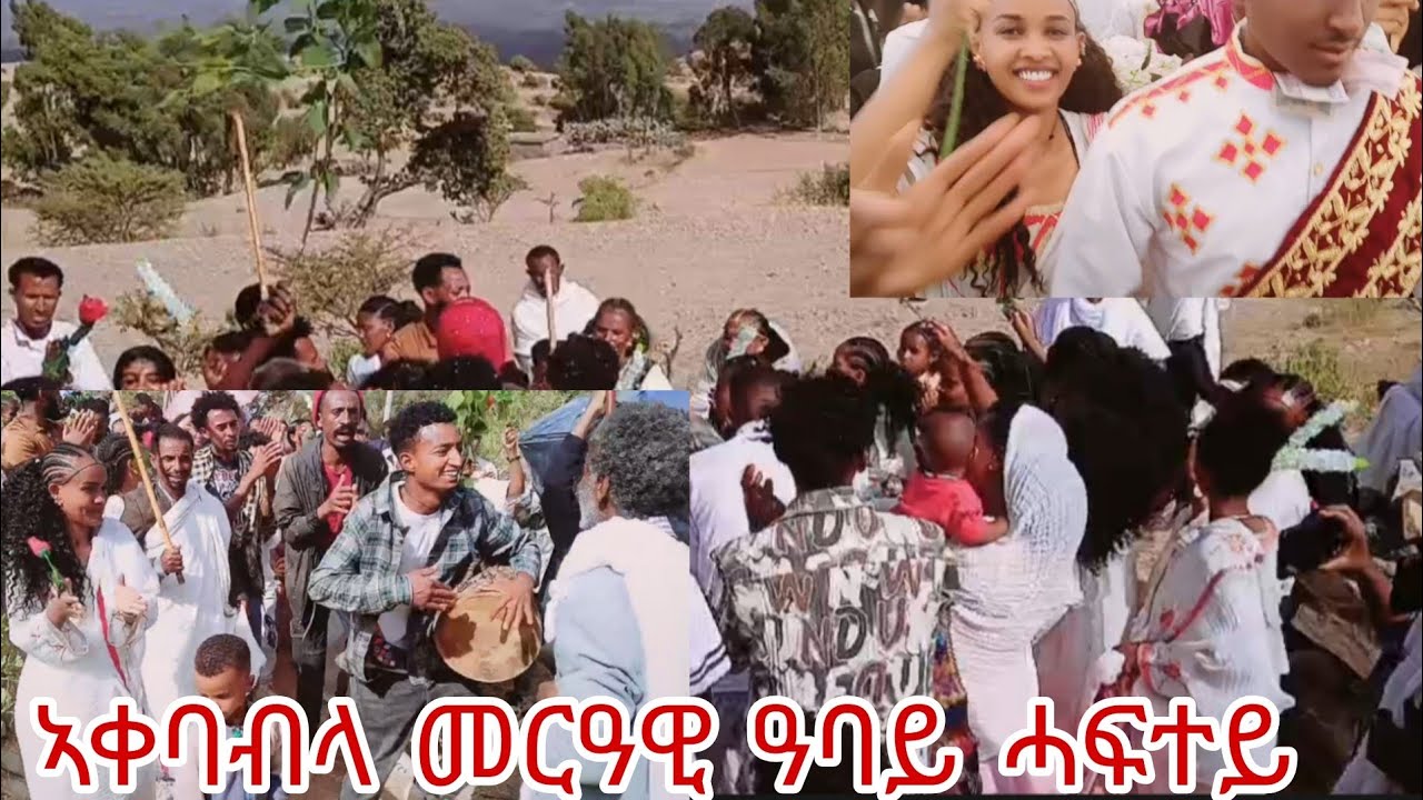 🗣ብዓበይቲ ብመዓርግ ብባህሊ ዓዲ ኣቀባብላ መርዓዊ ዓባይ ሓፍተይ🙏 