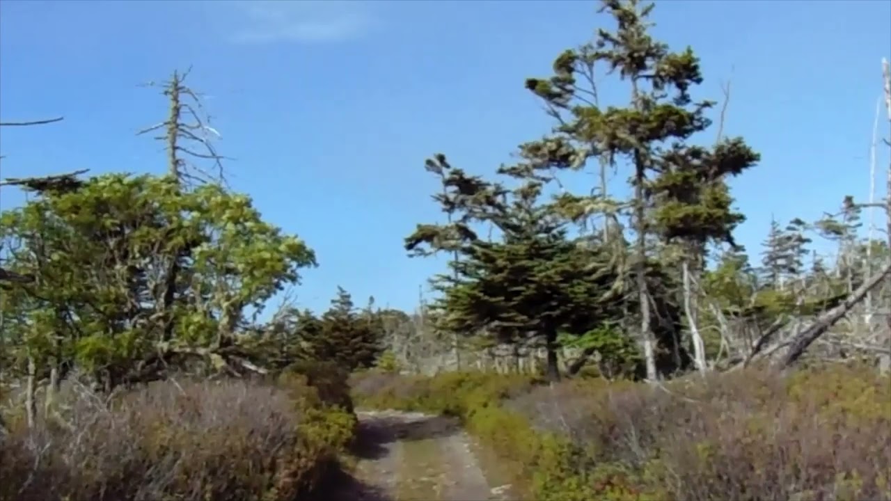Lighthouse Road Seal Island Nova Scotia