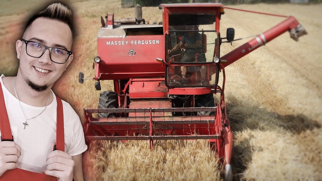 Żniwa 2023 - Pierwsi Na Wsi 😱 Kosimy Jęczmień Do Szpicherka *PASZA* 🌾 Massey Ferguson 86🔥 MafiaSolec