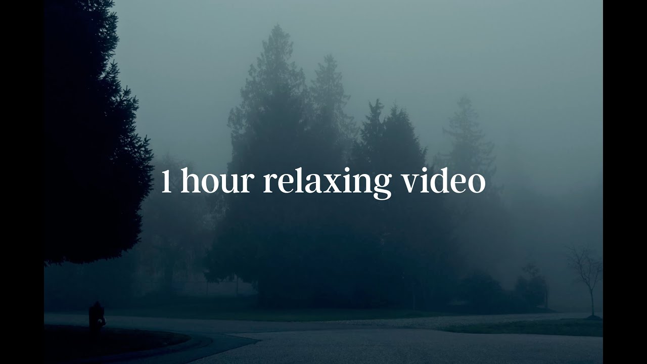 1 hour relaxing video - chill music vibes