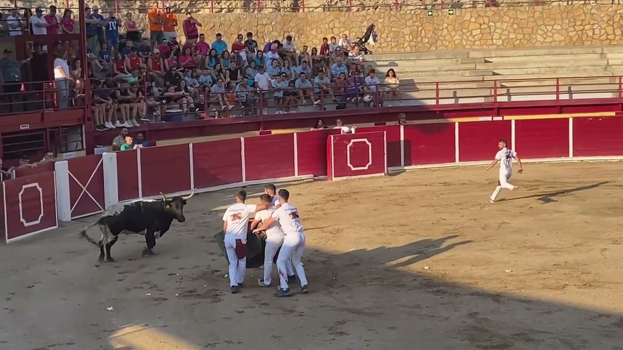 Cuarte de Huerva (Zaragoza) -4K- 26/07/2024 Vaquillas de Tarde