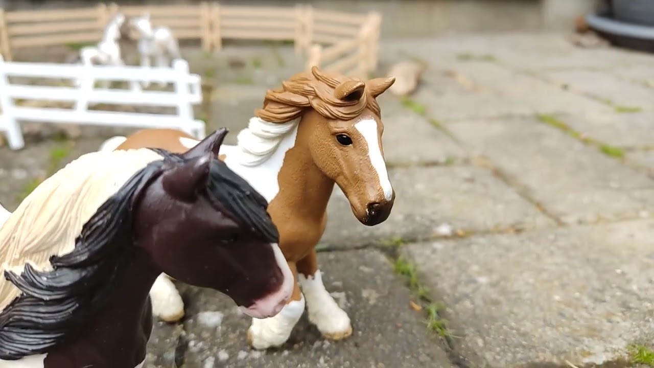 Schleich Fohlen WG/Folge 1🐎 Lena#Love_Schleich💖