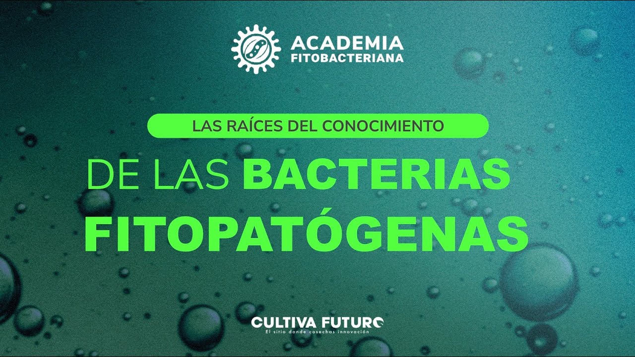 EPISODIO 1: BACTERIAS FITOPATÓGENAS / ACADEMIA FITOBACTERIANA