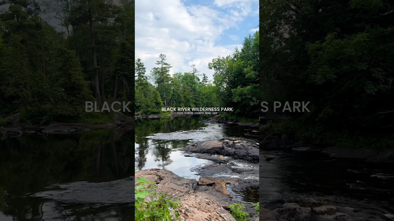 Discover Black River Wilderness Park, a hidden gem near Orillia with a river as dark as steeped tea.