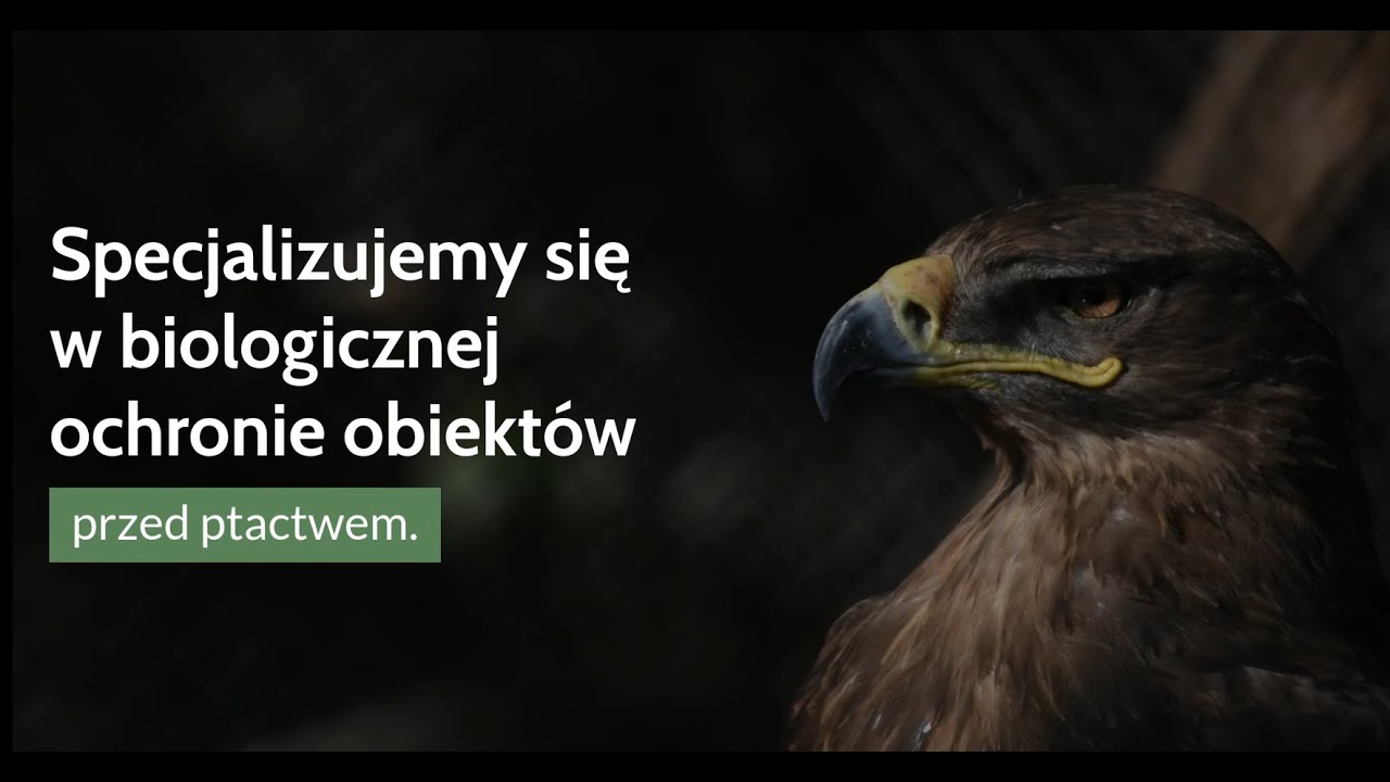 Biologiczna ochrona obiekt&oacute;w SZPONIASTE & FALCONER Sp. z o.o. Warszawa