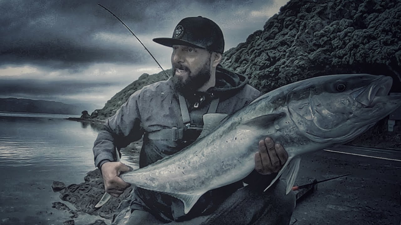 Kingfish Madness! Greenhorn VS Greenback mish #5 season 1 #landbasedlivebaiting #slidebaiting #king