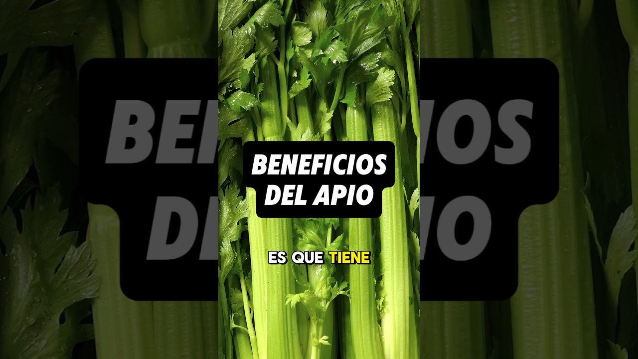 Consume apio #beneficios #nutricion #salud #apio #alimentacionsaludable #recetas