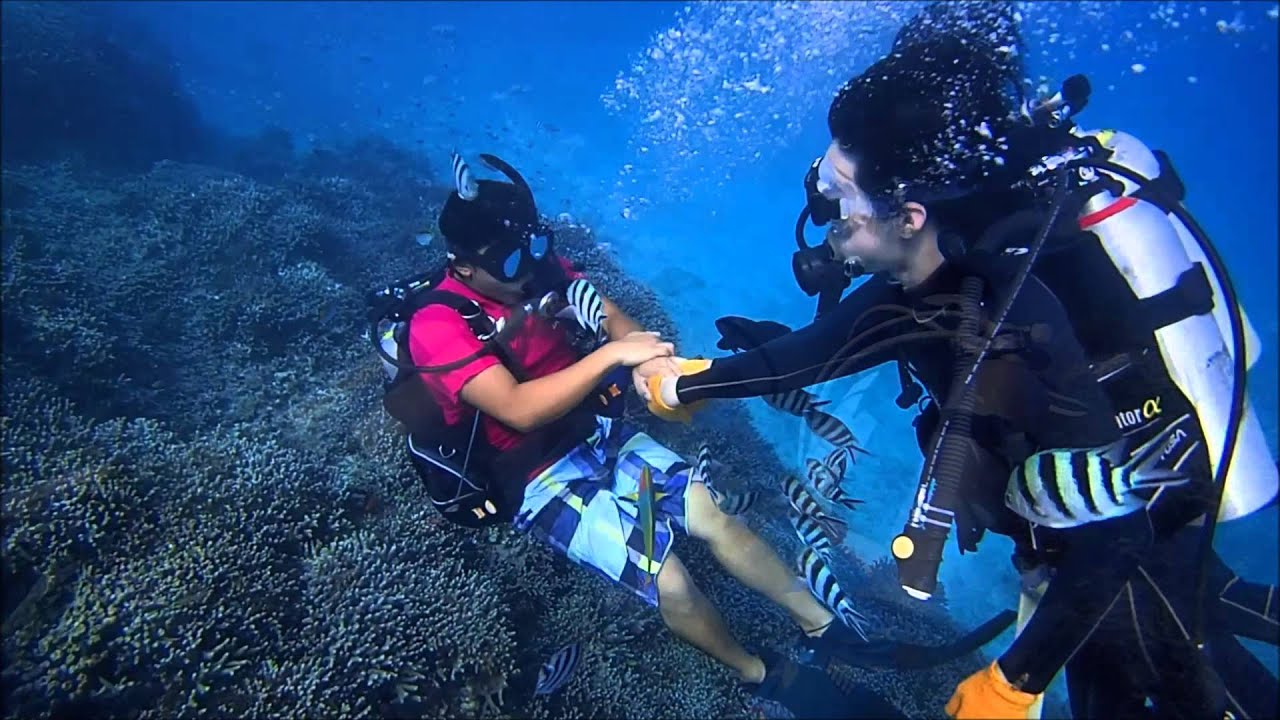 体験ダイビング　Marine Club Berry