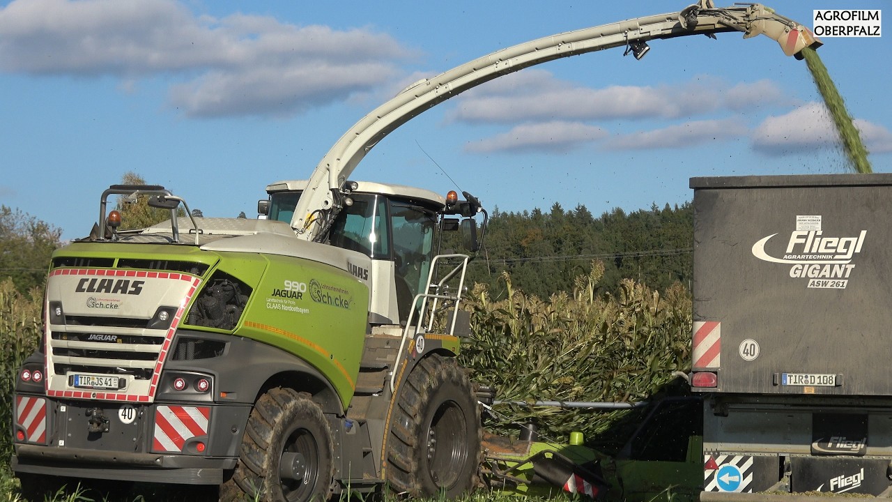Der HEKTARKILLER schlägt wieder zu - Claas Jaguar 990 beim Hirse häckseln - Lohnunternehmen Schicker