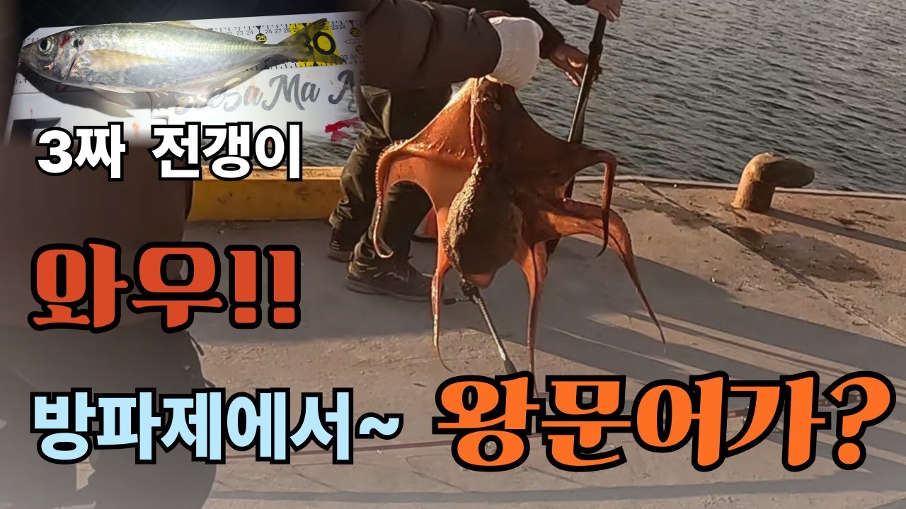 전갱이낚시.81 기장 왕문어 봤어! 부산 광안리 봤어! 지심도 3짜 전갱이도 다봤어!   #전갱이루어낚시 아징 올림픽 코르토 #アジン