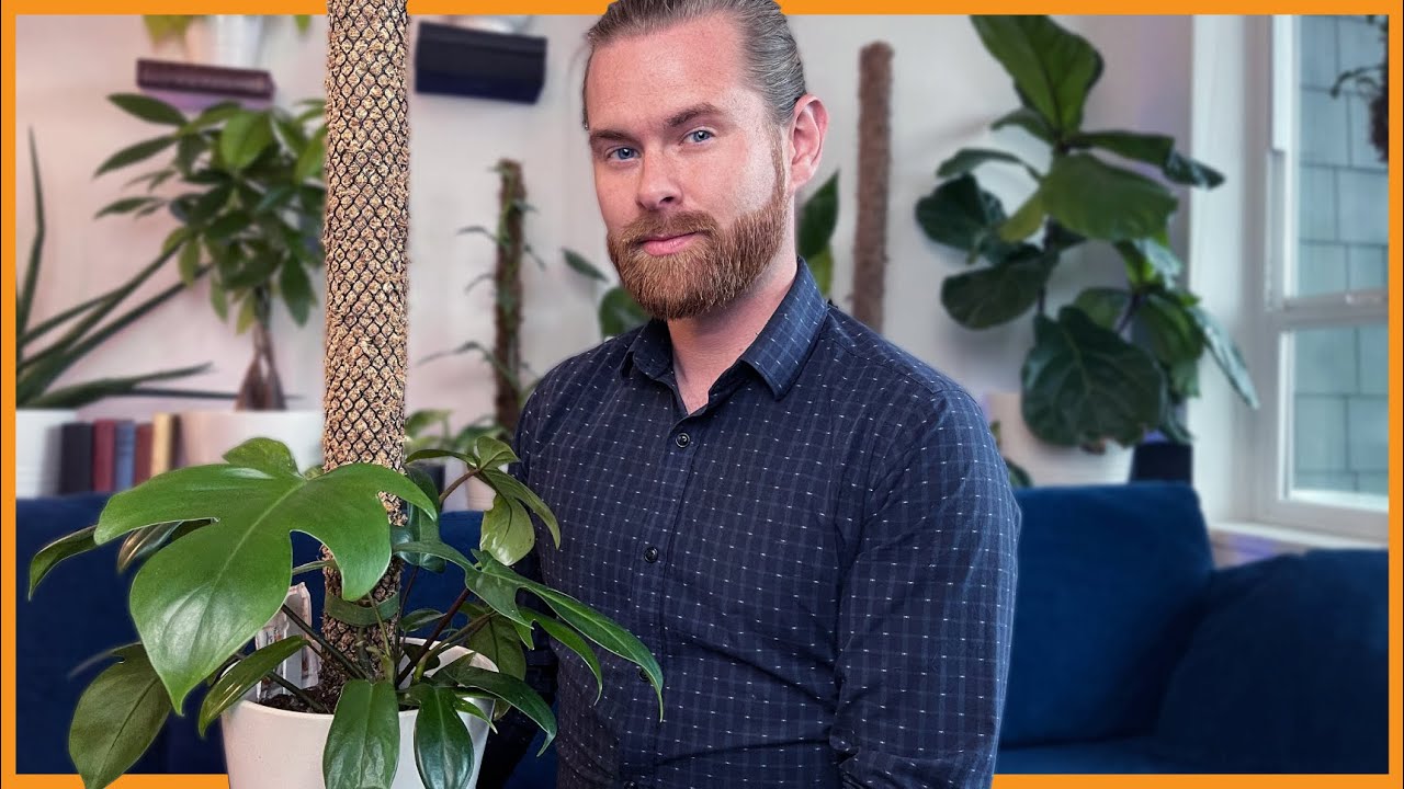 SELF WATERING MOSS POLE - WIRE MOSS POLES | Monstera adansonii, deliciosa, & Philodendron pedatum