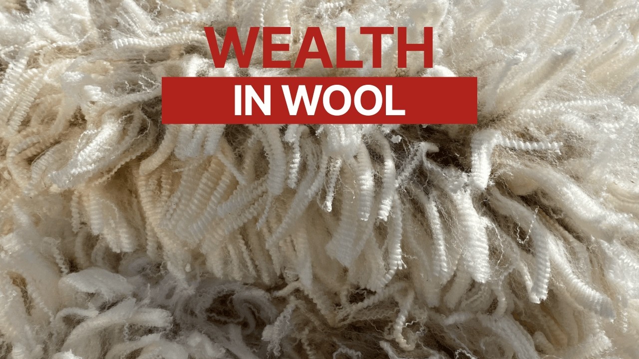 Wealth In Wool - With Mark Ferguson from neXtgen Agri