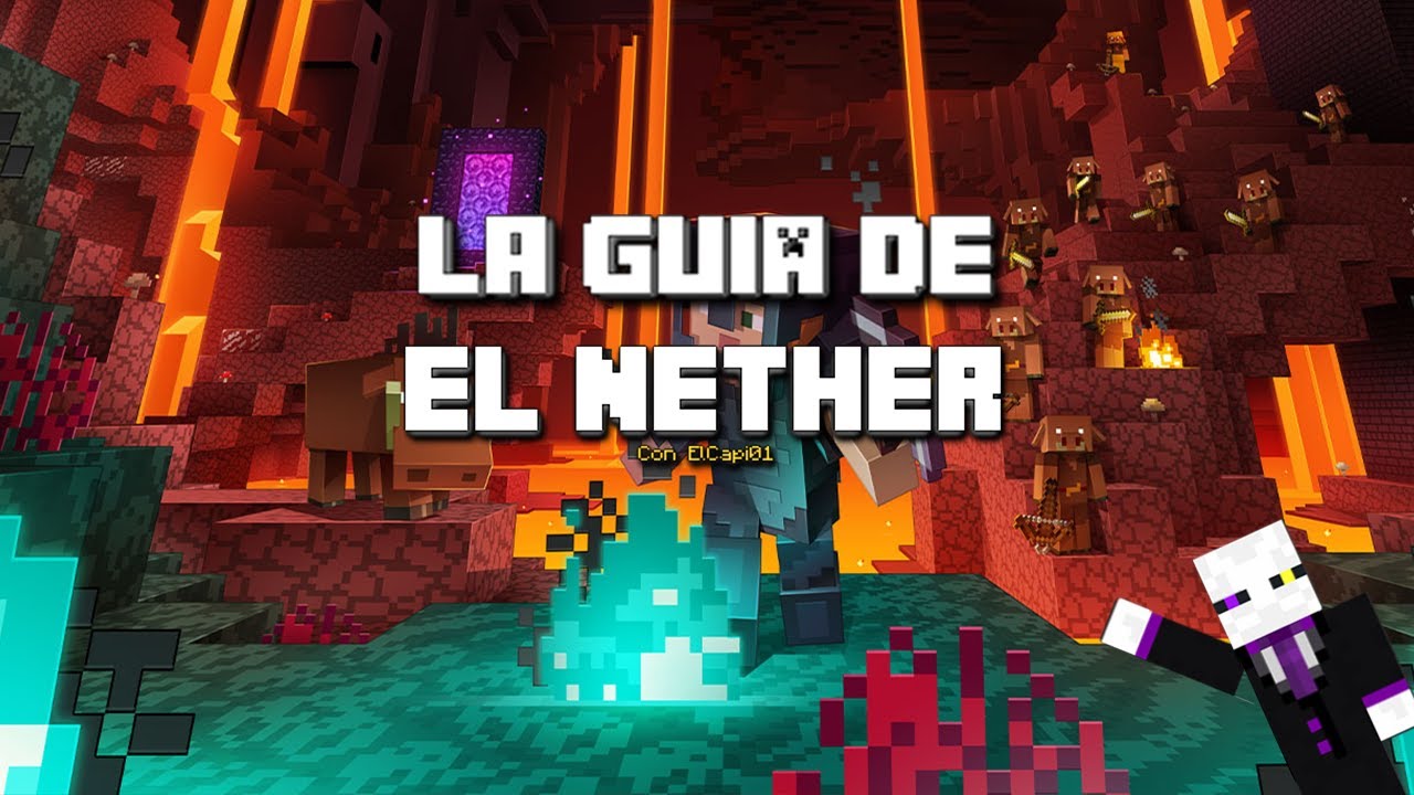 GUÍA de 