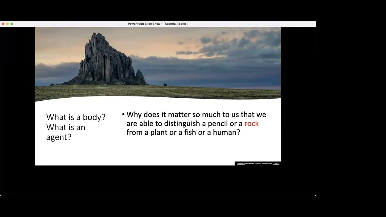 Agential Topics: Andrea Hiott's What is the Body? Feb. 18, 2026