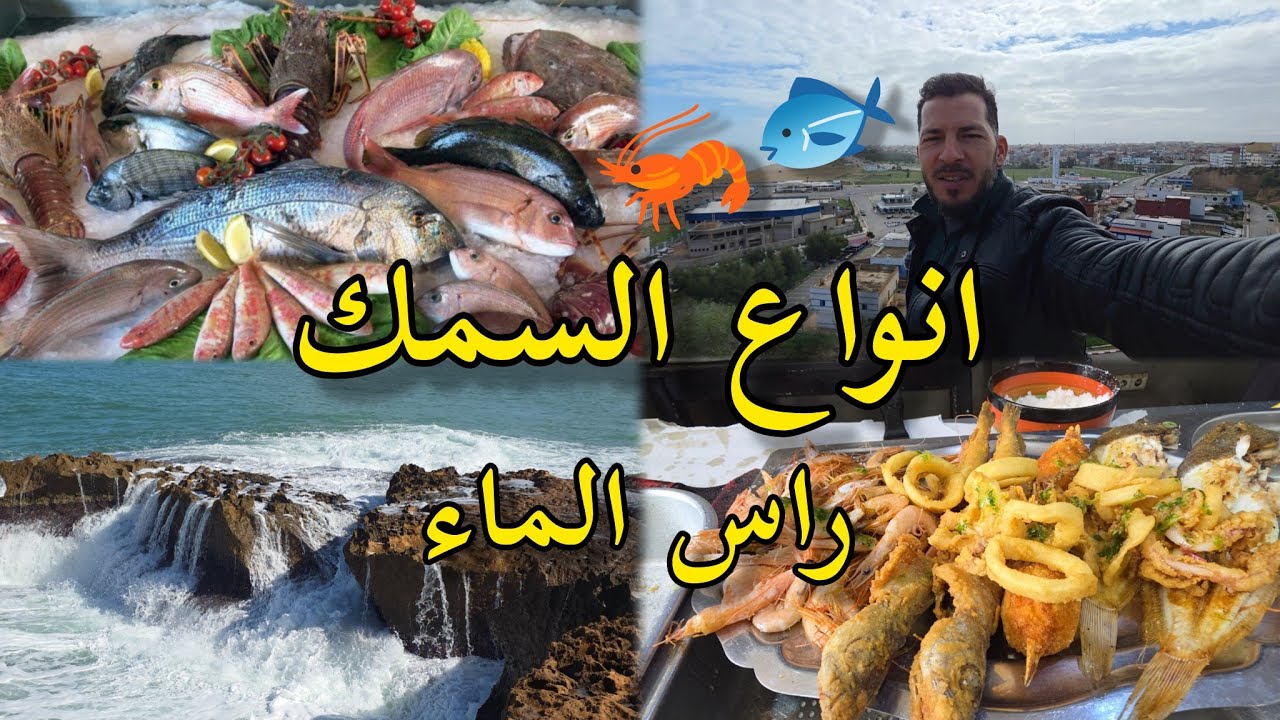 راس الماء كاب دولو 🦐 أسماك البحر 🌊| أفضل أنواع الأسماك 🐟 Ras El Ma Cap de l’Eau