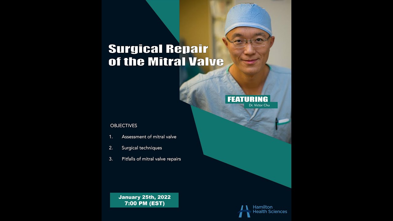 Surgical repair of the mitral valve