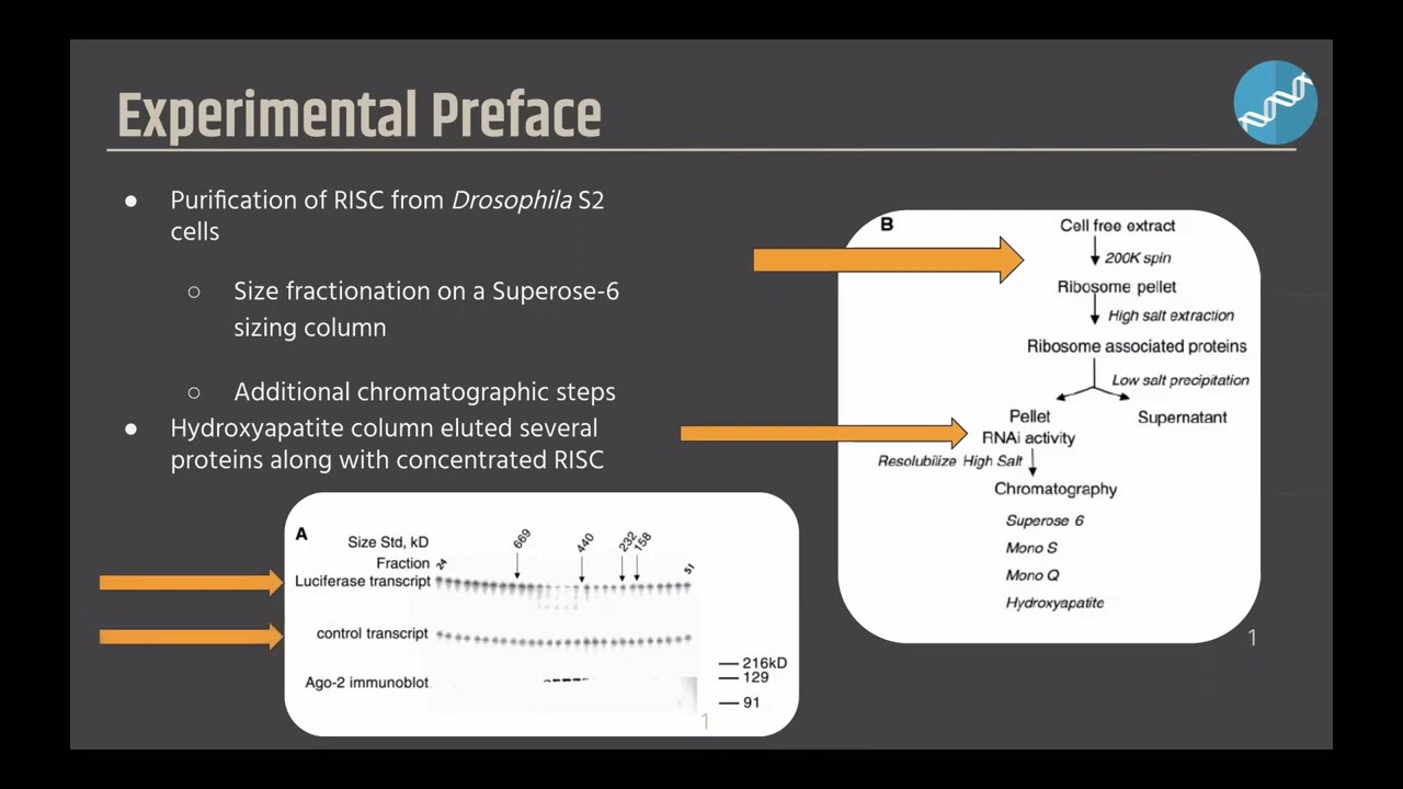 AGO2 Presentation