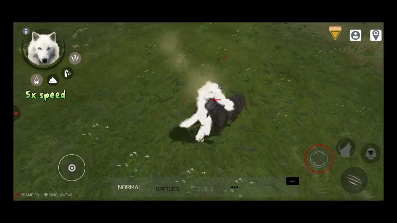 Wolf Online 2 | Werewolf Update Showcase