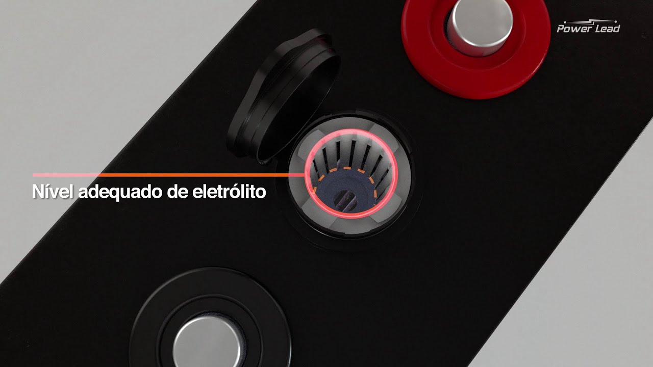 Cuidados com sua bateria tracionária!