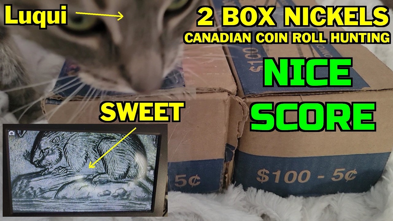 2 Box Canada Nickel Coin Roll Hunting With Couple Big Finds
