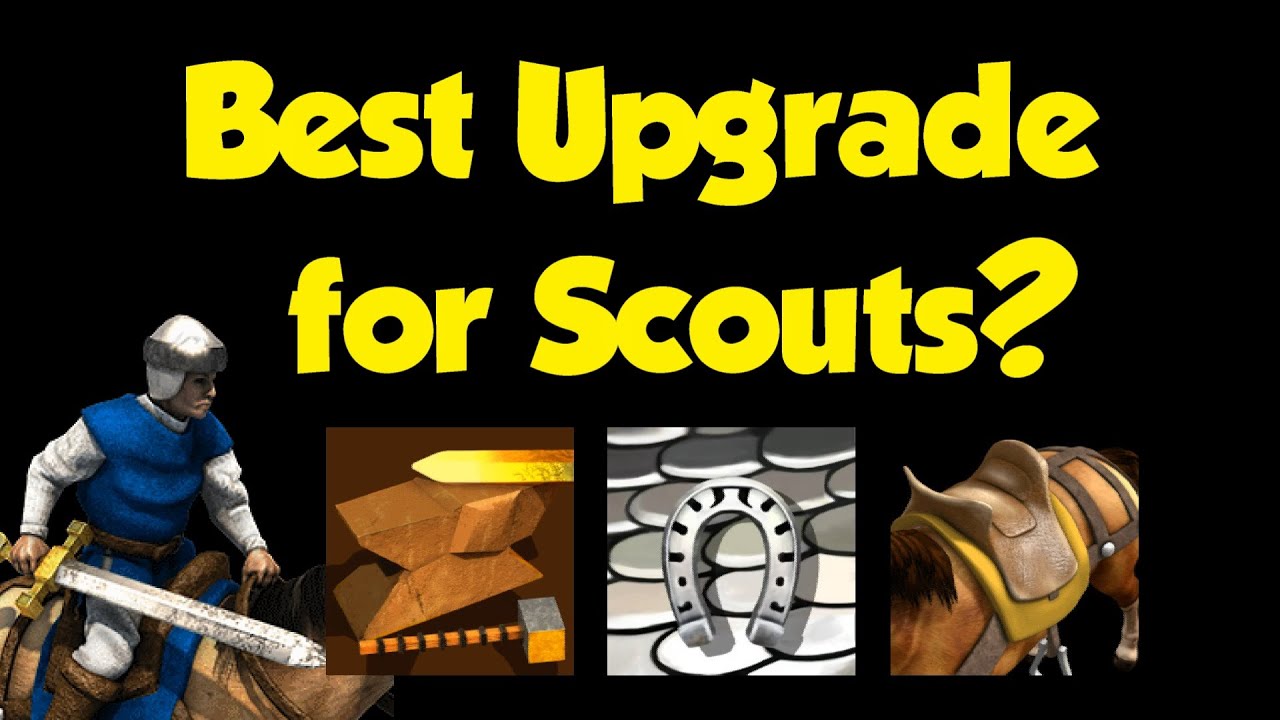 What's the Best Upgrade for Scouts in Feudal Age?