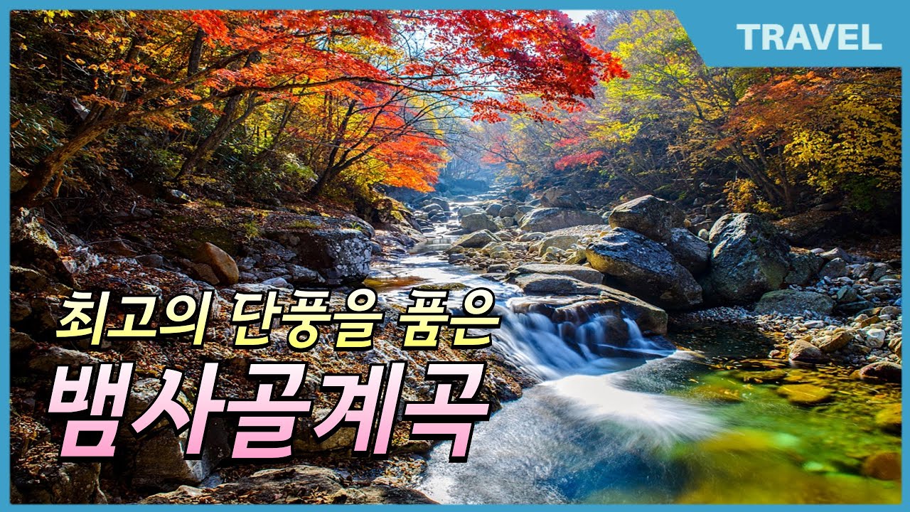 최고의 단풍을 품은 지리산 뱀사골계곡  인생 단풍명소를 만난 수 있는곳 #지리산뱀사골단풍 #뱀사골계곡 #지리산단풍