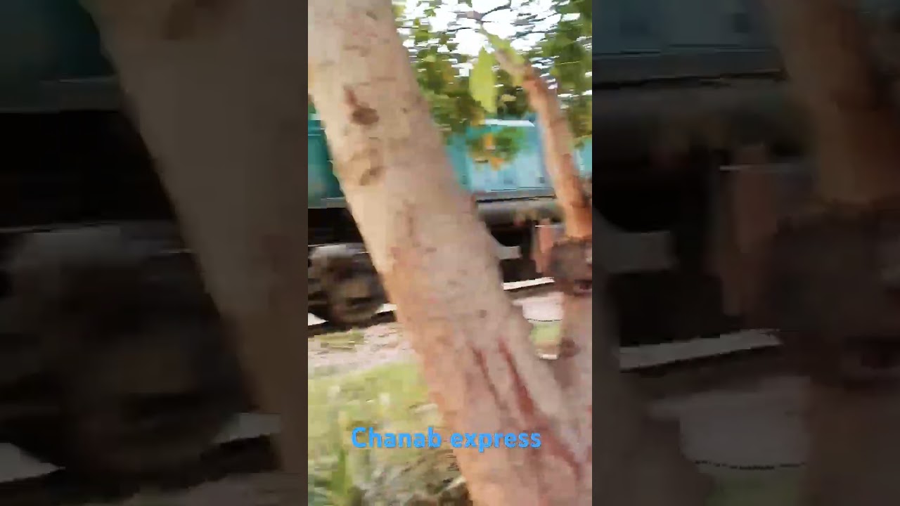 Chanab express ka darkhto k andr se nazara