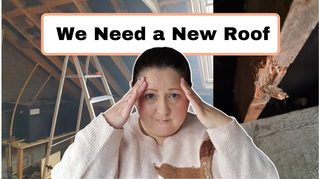 House Reno Week 1 update - Budget Blown - We need a new roof